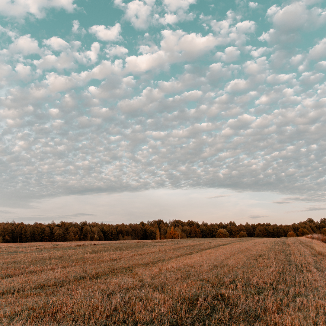 landowner services